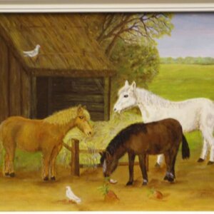 DEN DREU paarden